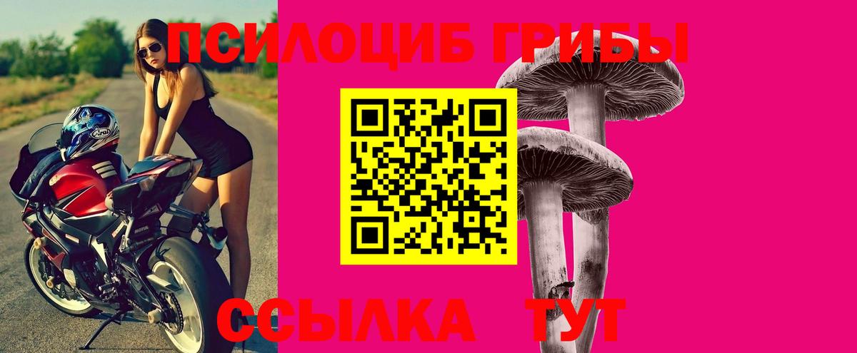 Галлюциногенные грибы прущие грибы  Псилоцибиновые грибы MAGIC MUSHROOMS  Вход с VPN  Каменск-Уральский 