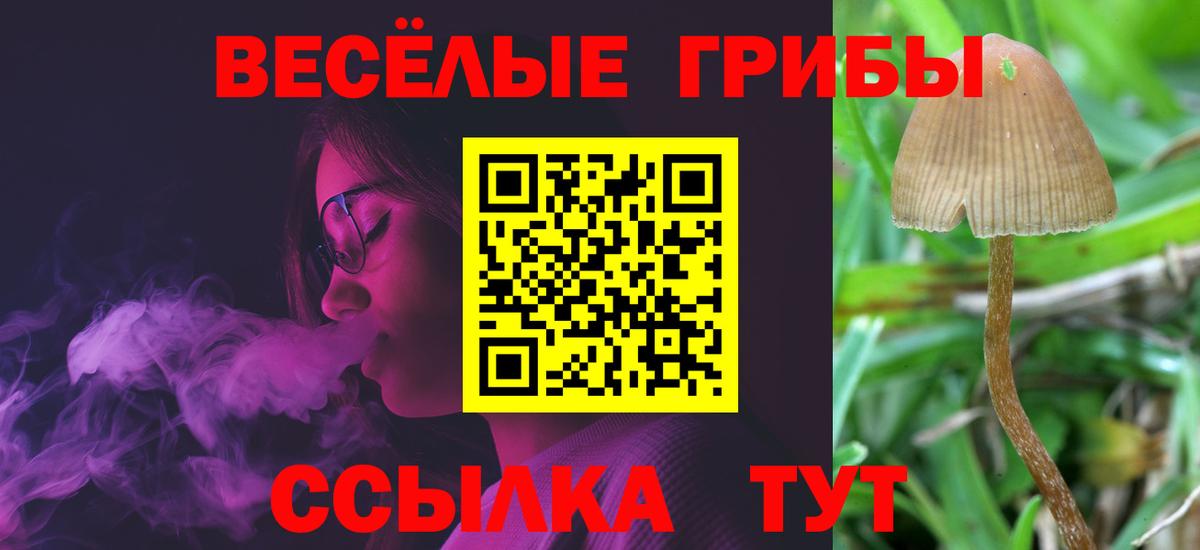 Псилоцибиновые грибы MAGIC MUSHROOMS Каменск-Уральский